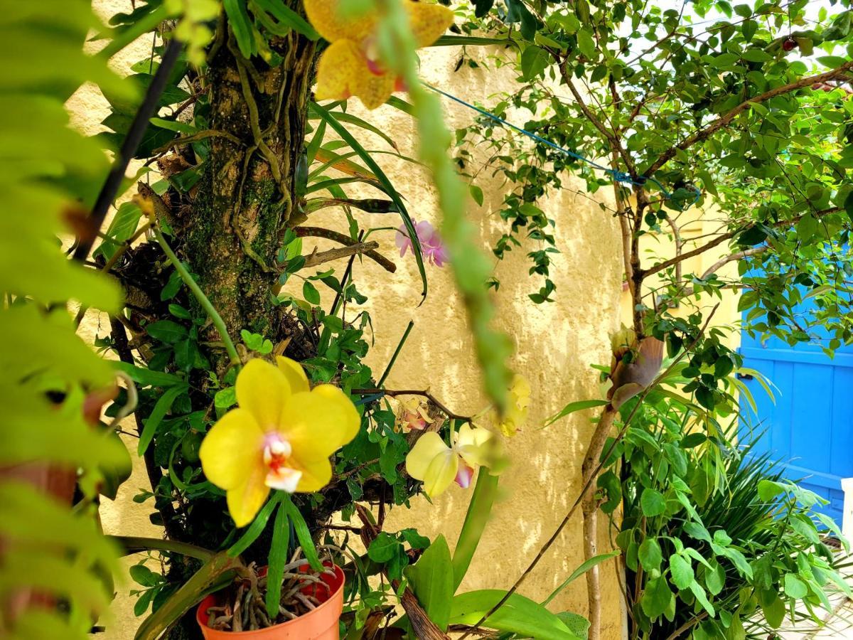 Pousada Recanto Dos Nativo Araquari Exterior foto
